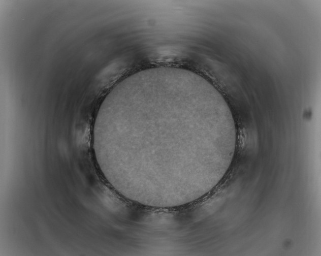 X0000101100820200807031748