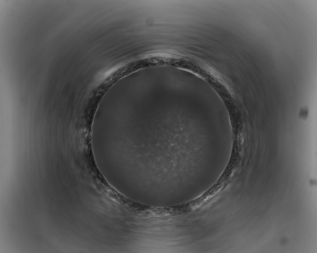 X0000101100822200807031748