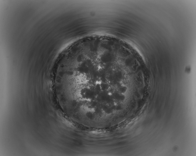 X0000101100823200807031748