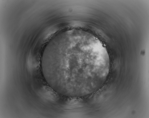 X0000101100824200807031748