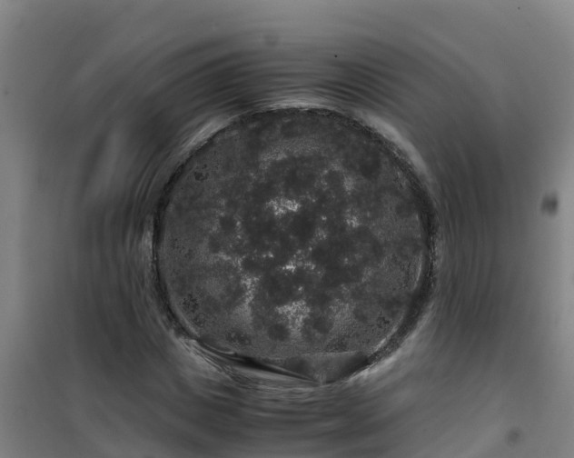X0000101100825200807031748