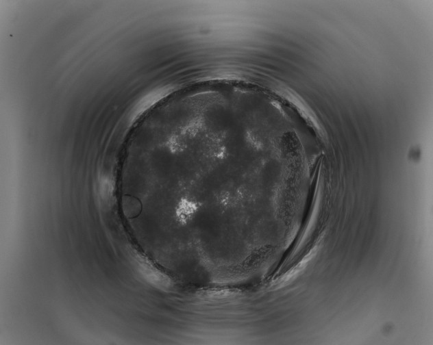 X0000101100826200807031748