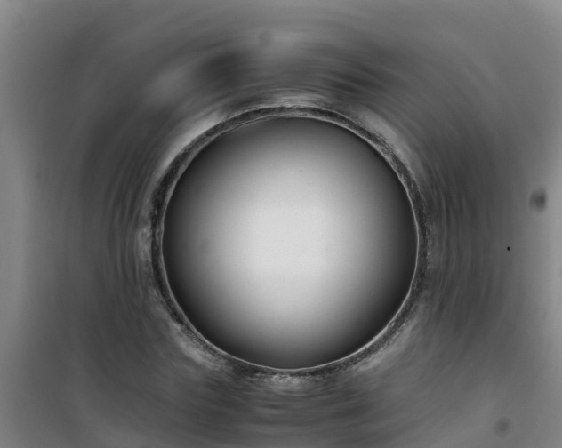 X0000101100827200807031748