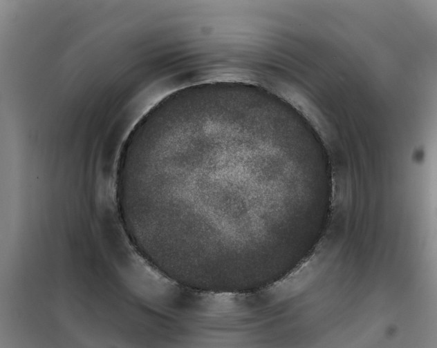 X0000101100828200807031748