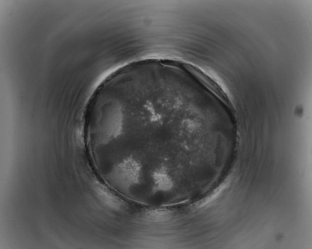 X0000101100830200807031748
