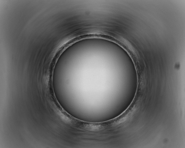 X0000101100831200807031748