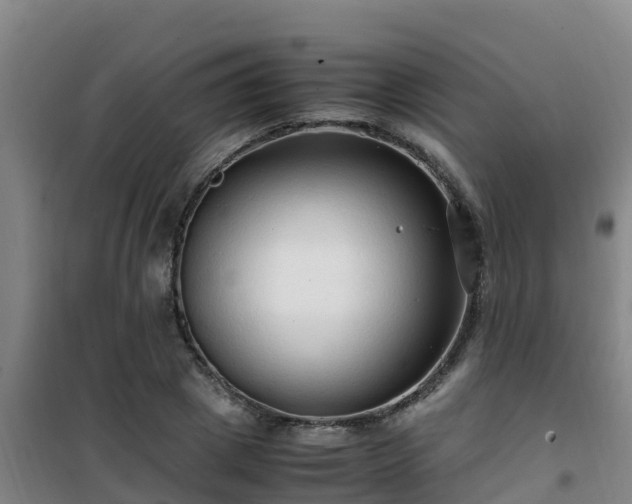 X0000101100833200807031748