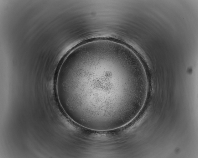 X0000101100834200807031748