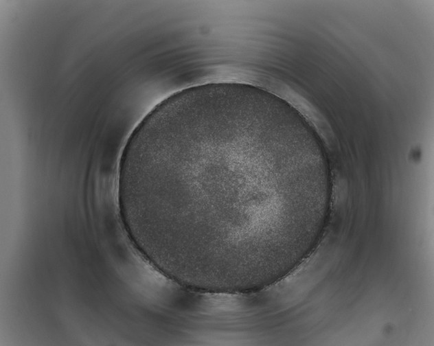X0000101100836200807031748