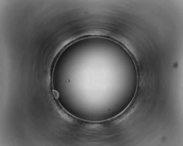 X0000101100837200807031748