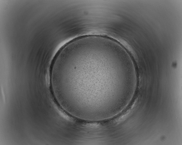 X0000101100838200807031748