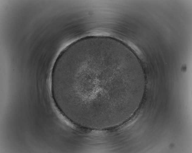 X0000101100840200807031748