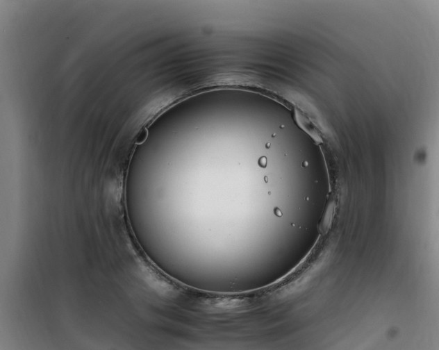 X0000101100841200807031748