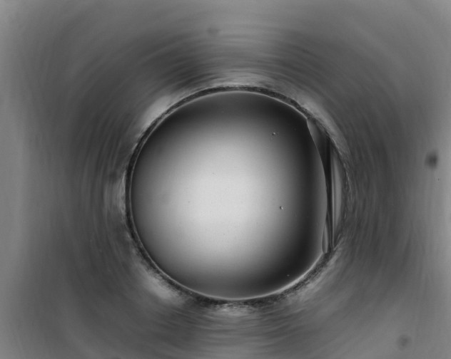 X0000101100842200807031748
