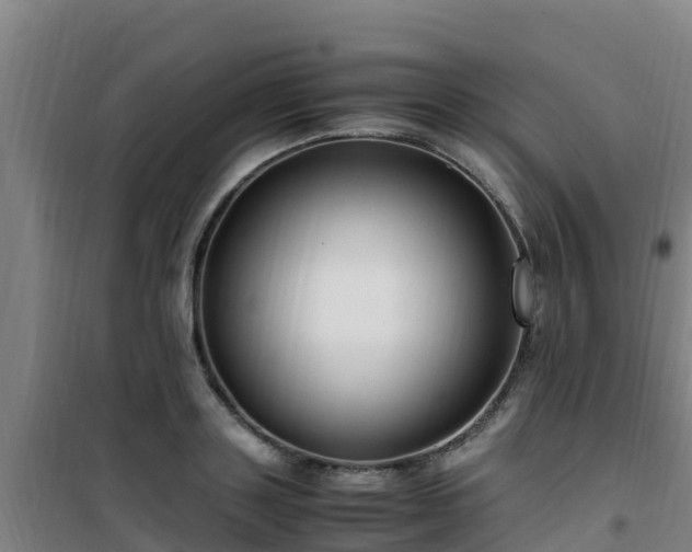 X0000101100843200807031748