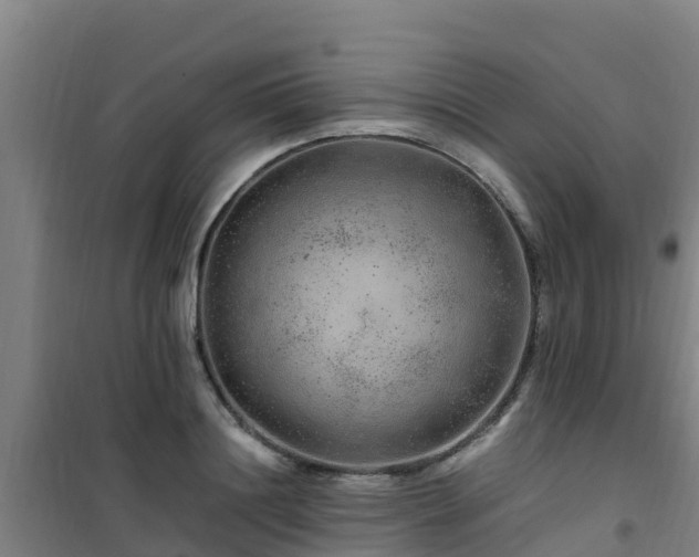 X0000101100844200807031748