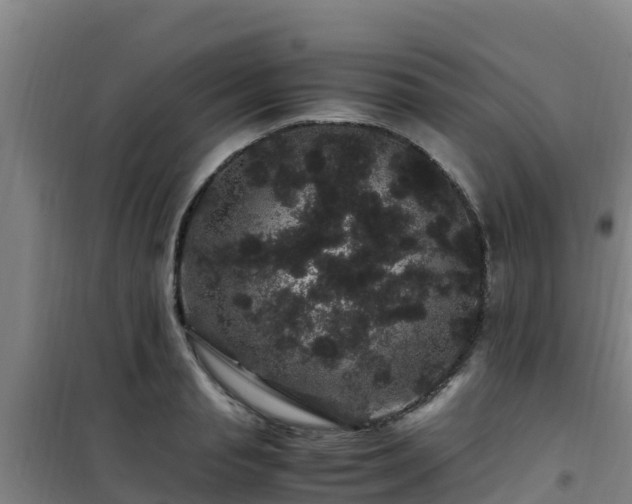 X0000101100845200807031749