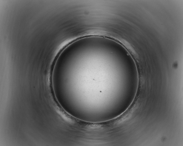 X0000101100846200807031749