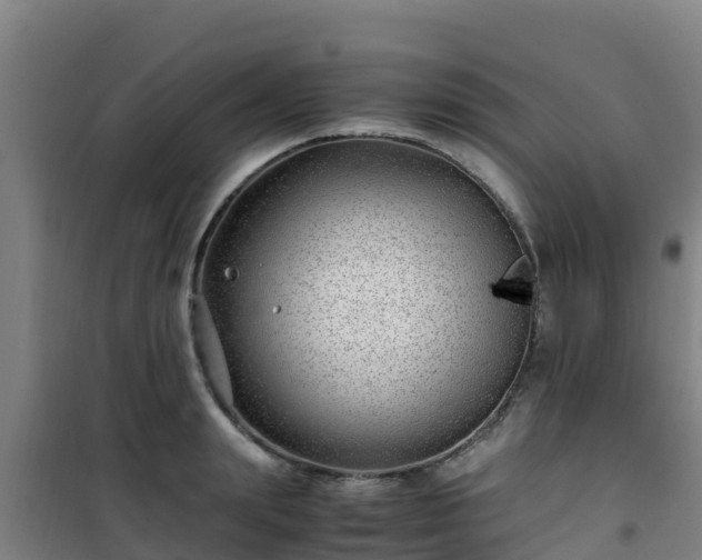 X0000101100847200807031749