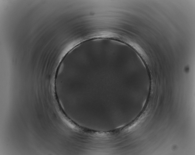 X0000101100850200807031749