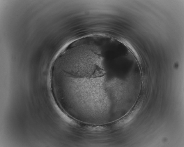 X0000101100851200807031749