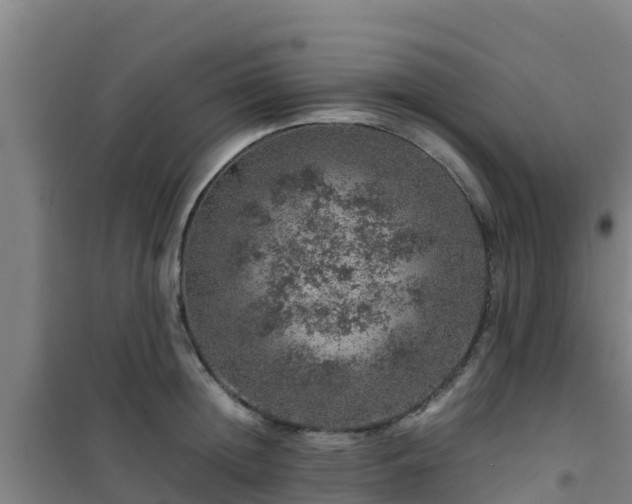 X0000101100852200807031749