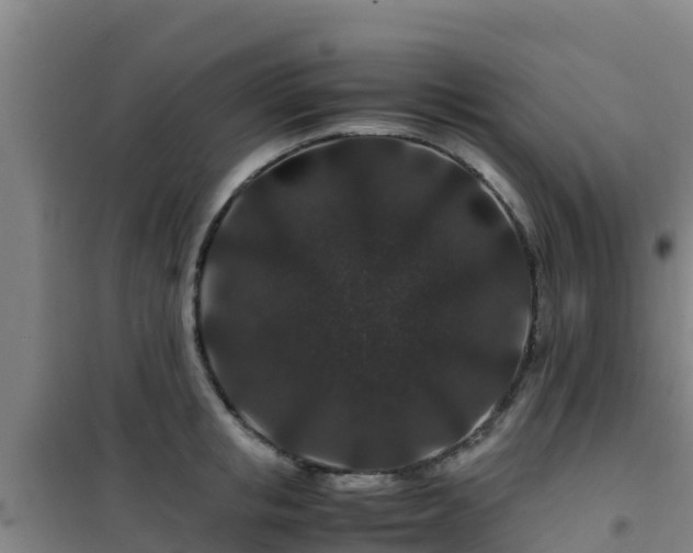 X0000101100853200807031749