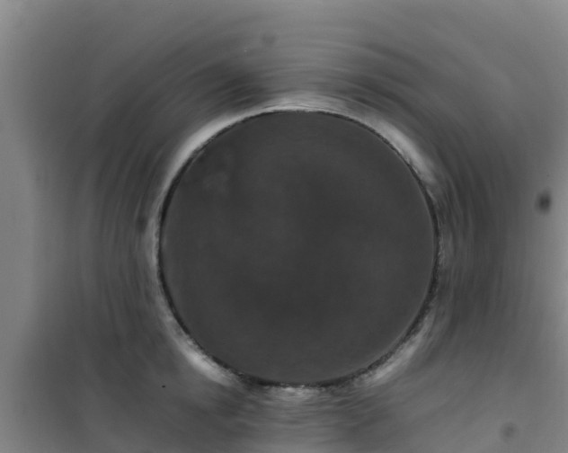 X0000101100854200807031749