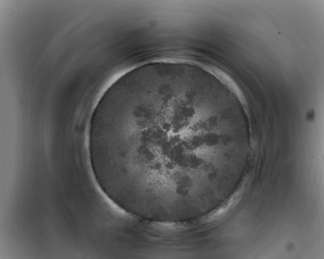 X0000101100855200807031749