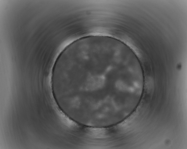 X0000101100856200807031749