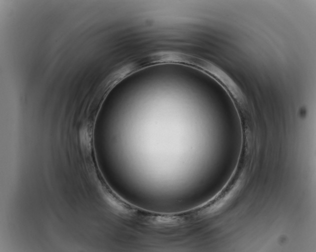 X0000101100857200807031749