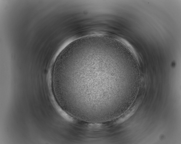 X0000101100859200807031749