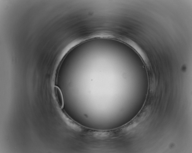 X0000101100861200807031749