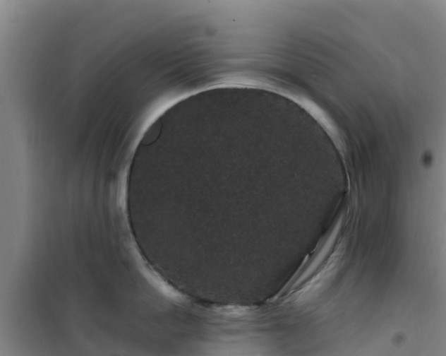 X0000101100862200807031749