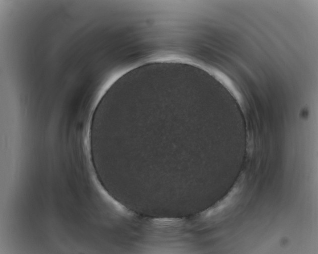 X0000101100863200807031749