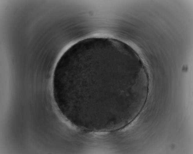 X0000101100864200807031749