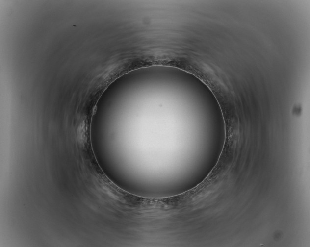 X0000101100866200807031748