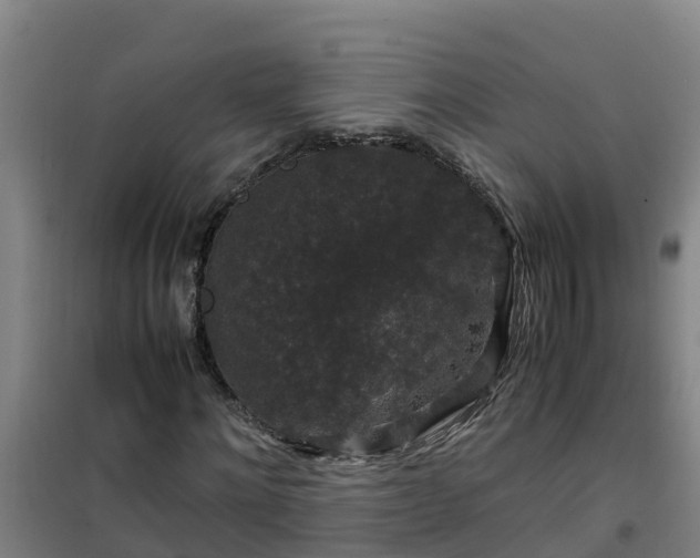 X0000101100868200807031748
