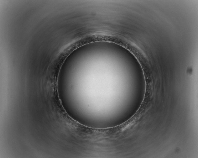 X0000101100870200807031748