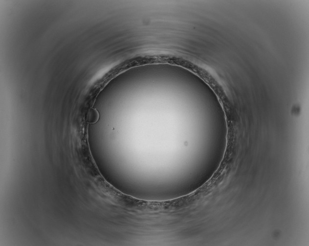 X0000101100871200807031748