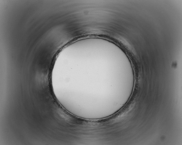 X0000101100873200807031748