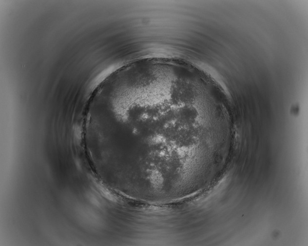 X0000101100874200807031748