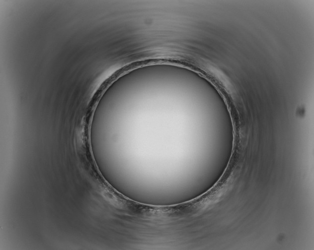 X0000101100875200807031748