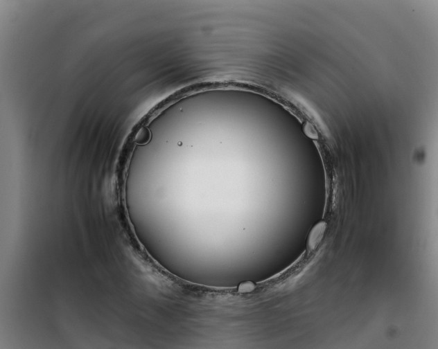 X0000101100876200807031748