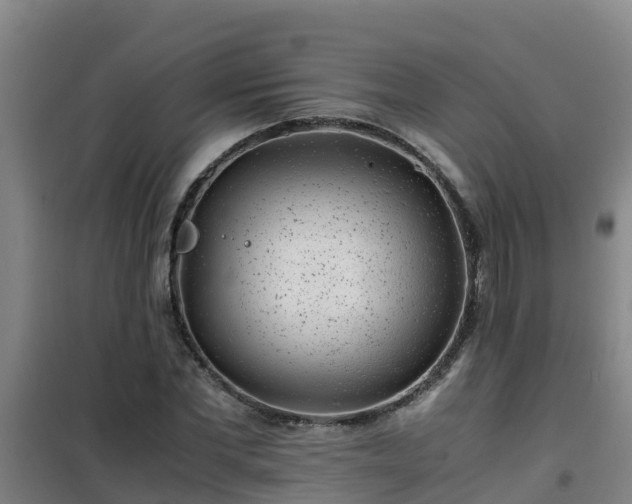 X0000101100877200807031748