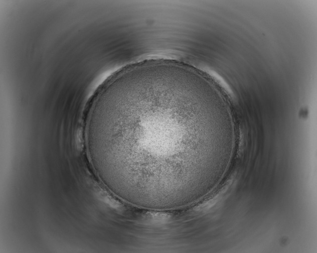 X0000101100878200807031748