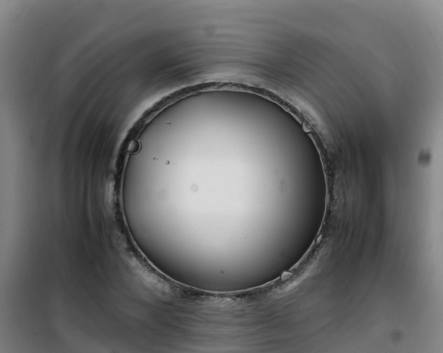 X0000101100880200807031748