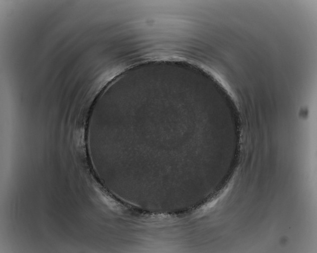 X0000101100881200807031748