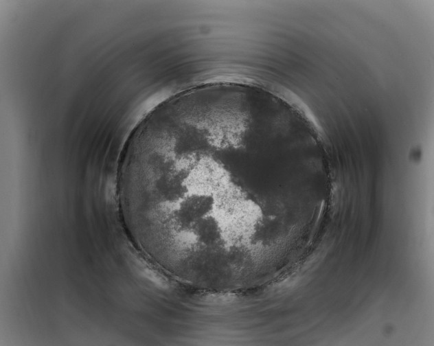 X0000101100882200807031748