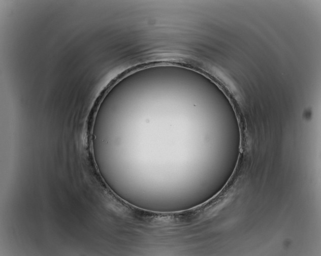 X0000101100883200807031748